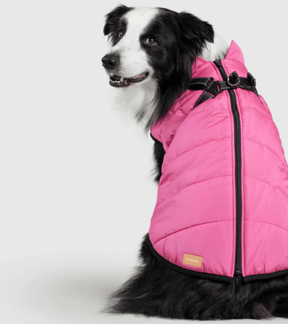 Hund 3-in-1 Winterjacke