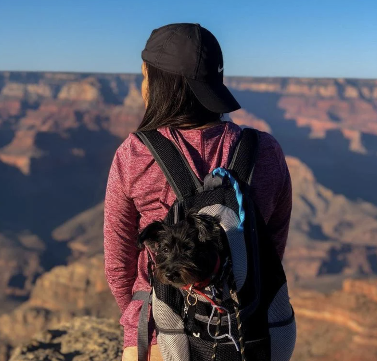 Rucksack für Hunde / Katzen