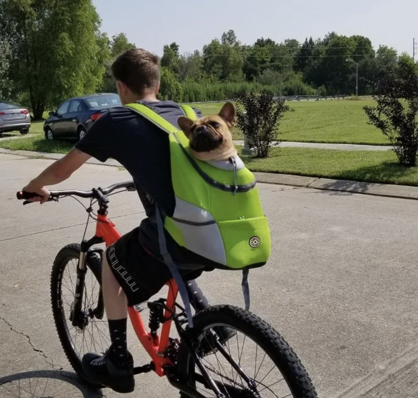 Rucksack für Hunde / Katzen