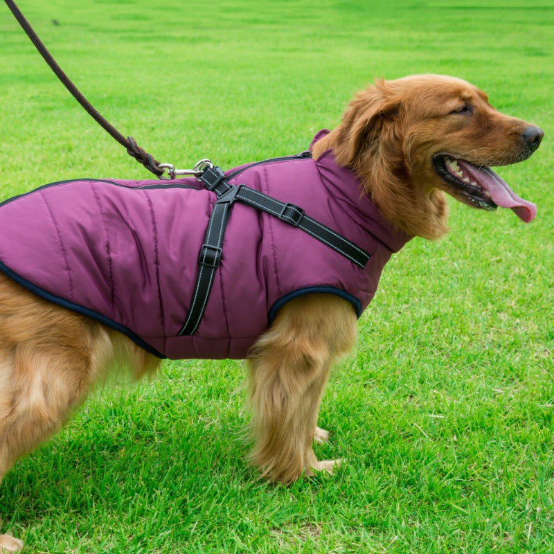 Hund 3-in-1 Winterjacke