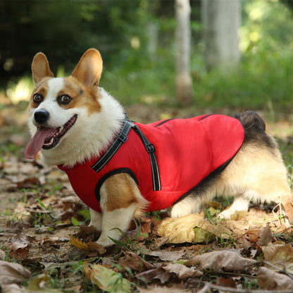 Hund 3-in-1 Winterjacke