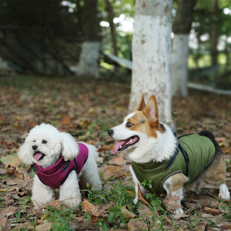 Hund 3-in-1 Winterjacke